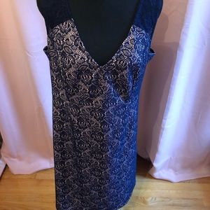 🎀🖤ALine Pink dress w/Blue Lace Overlay MATERNITY